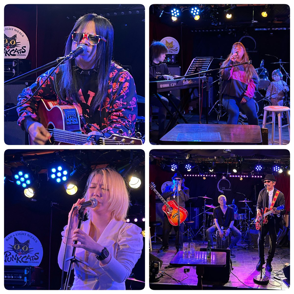 PUNK CATS わがままな奴ら tweet media