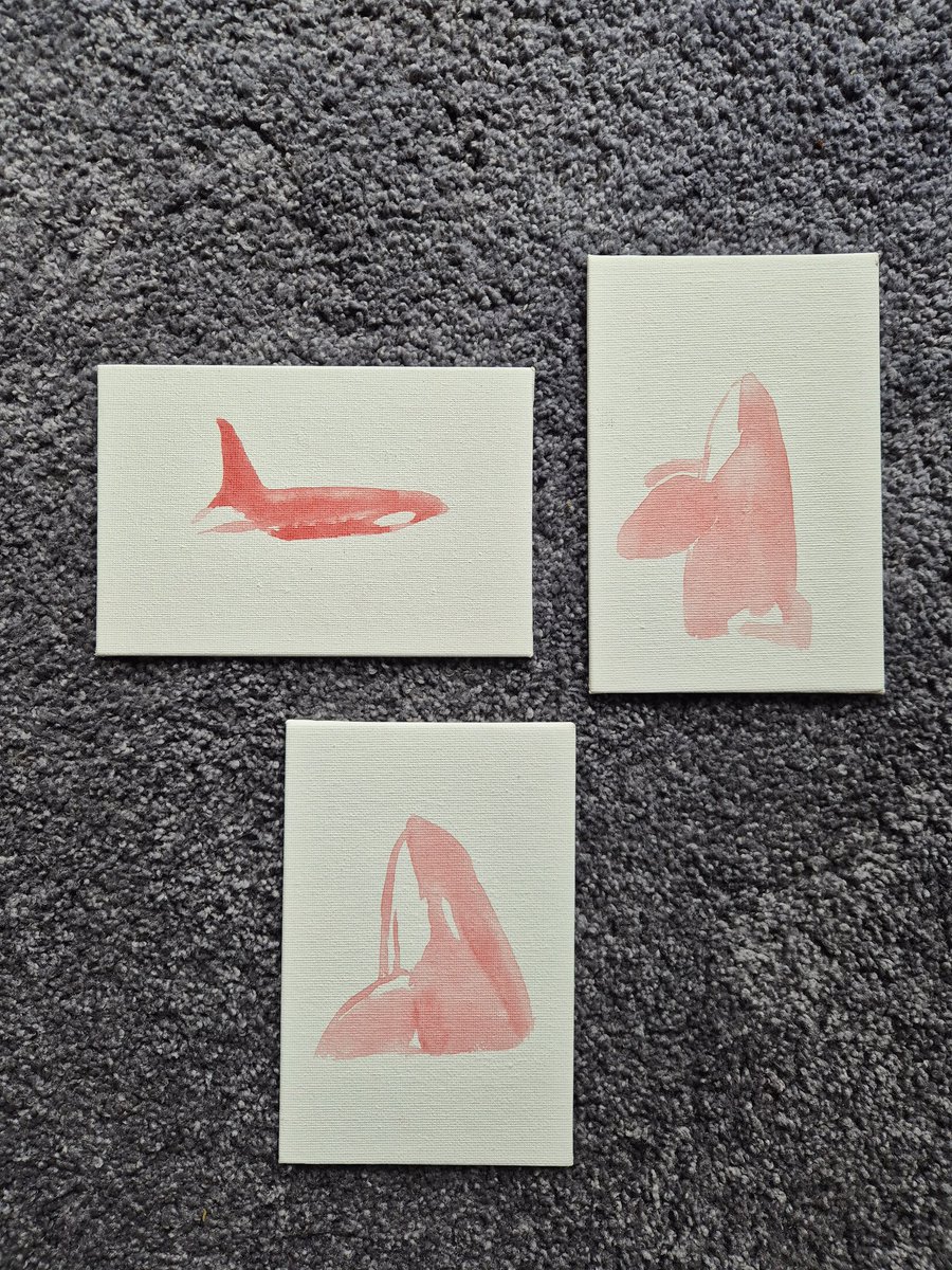 not ur average shamu 🫍 tweet media