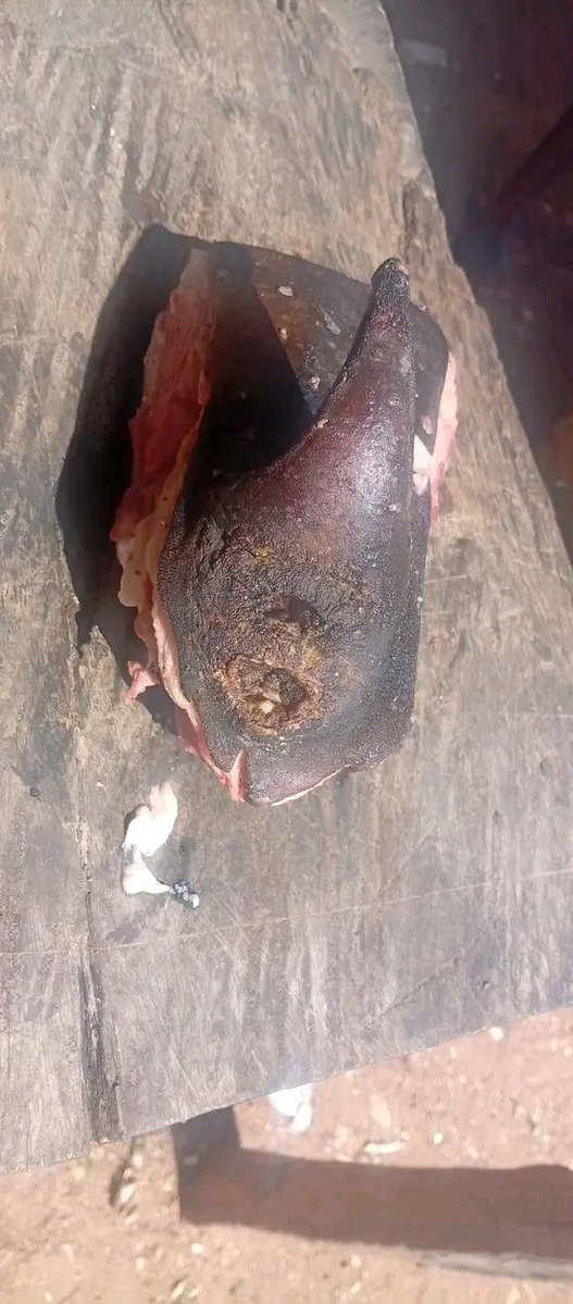 Kingsley Egbonyi 🐐 tweet media