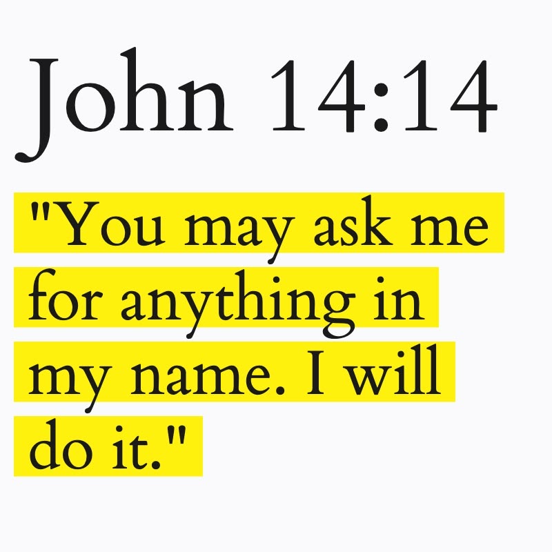 Bible 365 tweet media