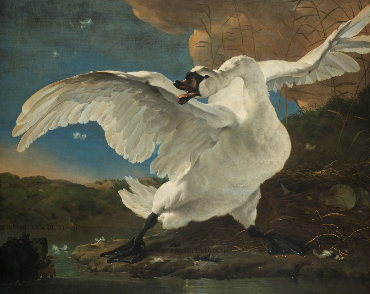 Willem de Zwijger tweet media