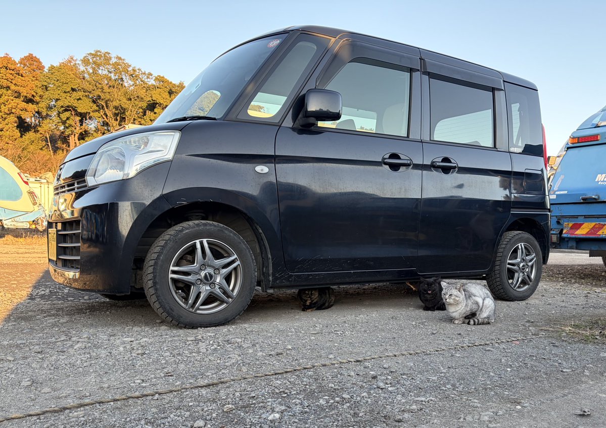 株式会社丸幸【公式】 tweet media