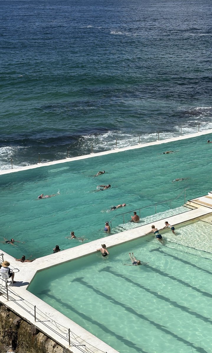 녹색개물 tweet media