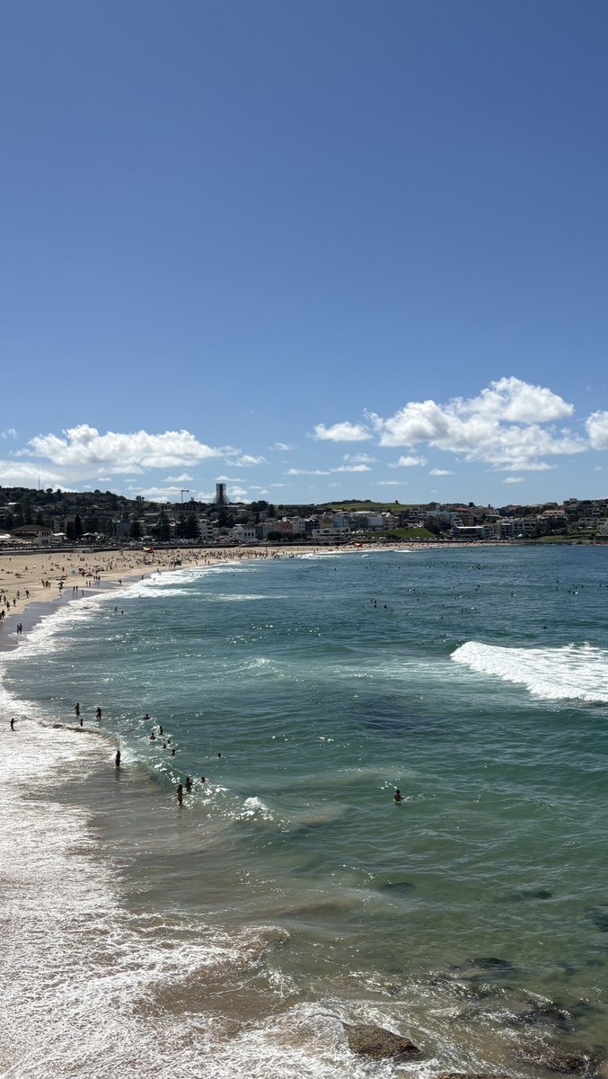 녹색개물 tweet media