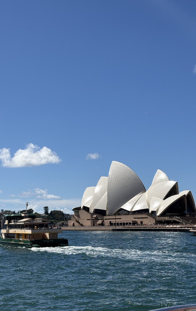 녹색개물 tweet media