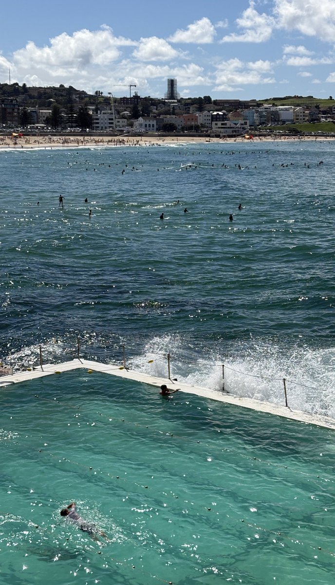 녹색개물 tweet media