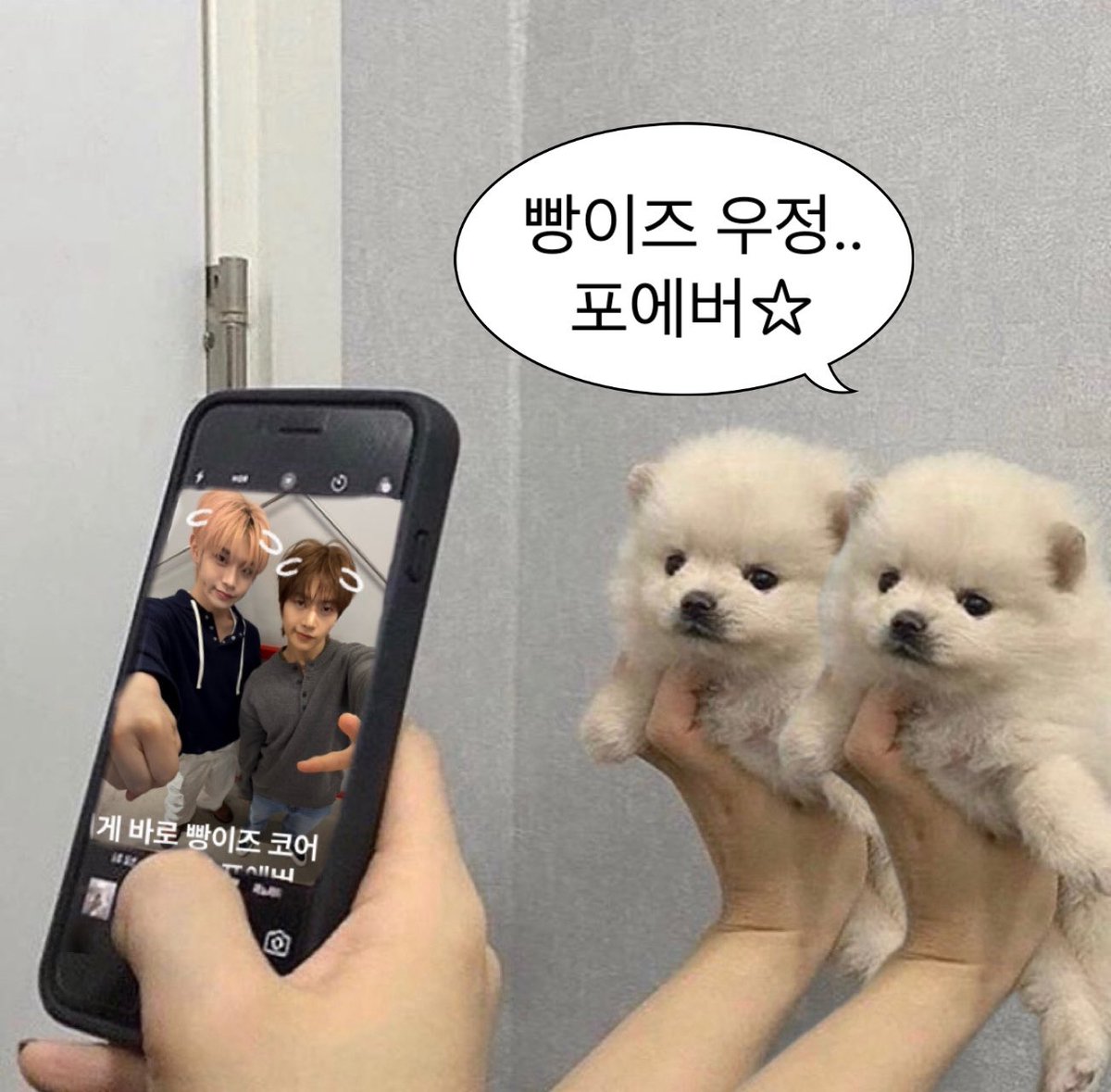 myseokryudan's tweet photo. 국제 강아지의 날 ฅ՞•ﻌ•՞ฅ https://t.co/zd9vrDfh8h