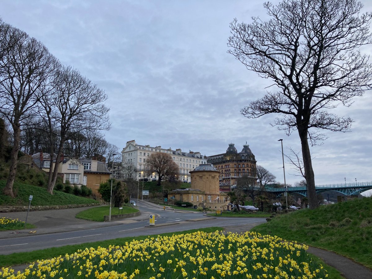 Faith Young Writer tweet media