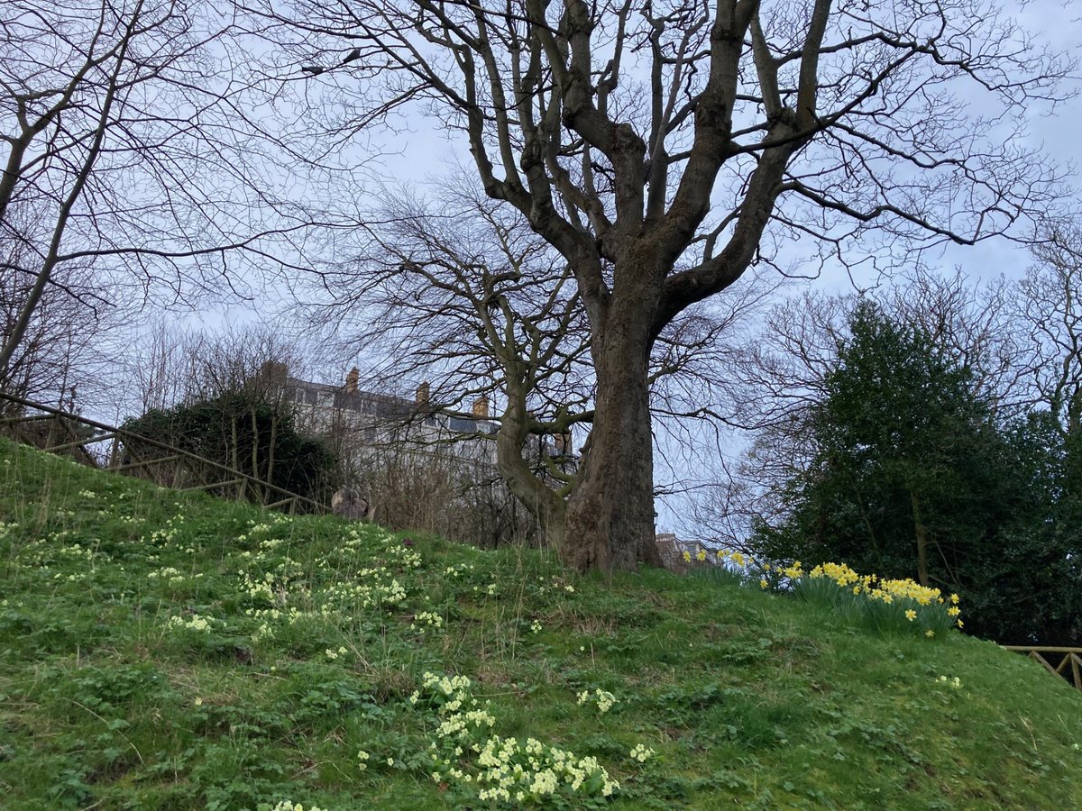 Faith Young Writer tweet media