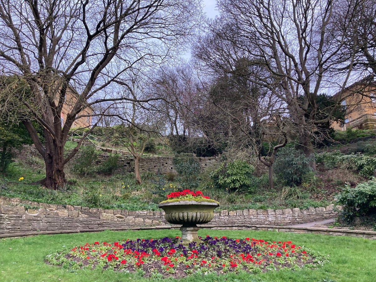 Faith Young Writer tweet media