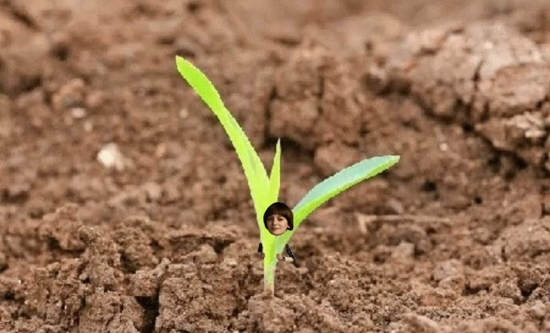 mii(wimisu) 🐠🌽 tweet media