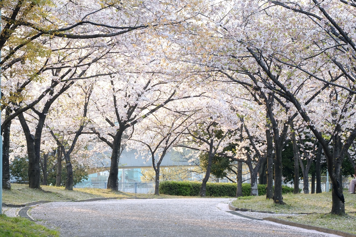 株式会社テクノフュージョン＠採用 tweet media