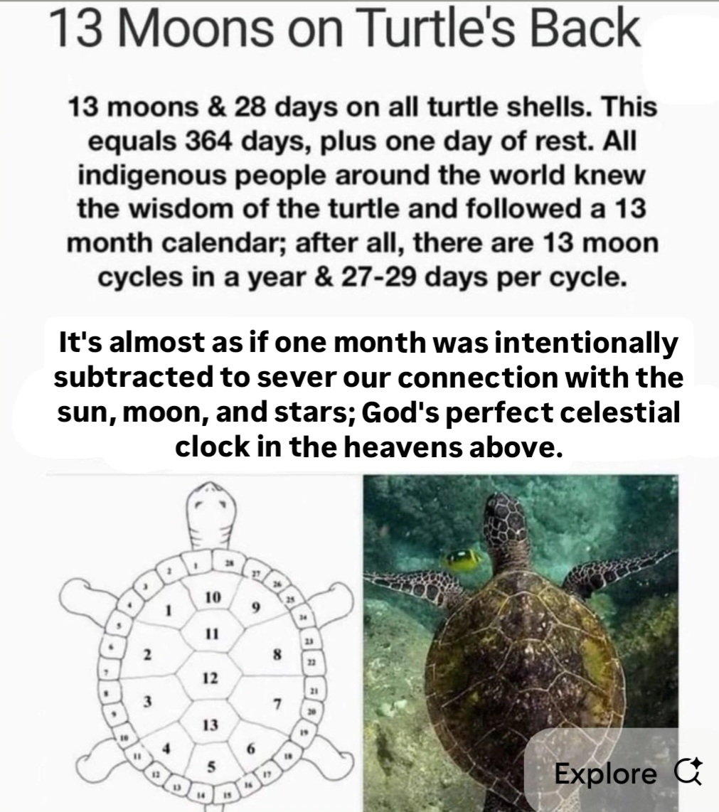 ₿en Wehrman tweet media