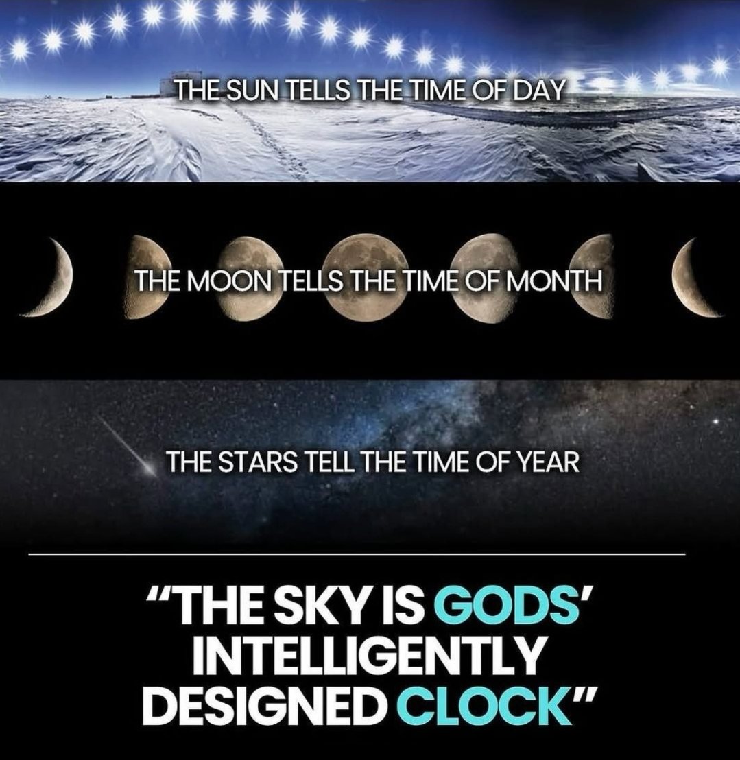 ₿en Wehrman tweet media