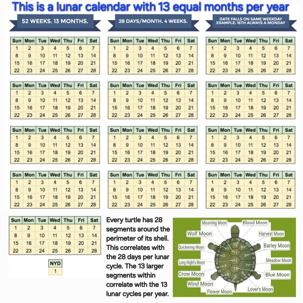 ₿en Wehrman tweet media