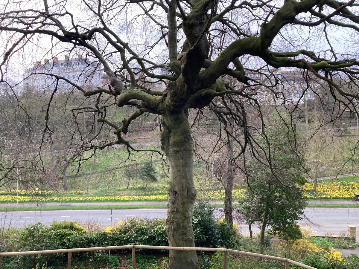 Faith Young Writer tweet media