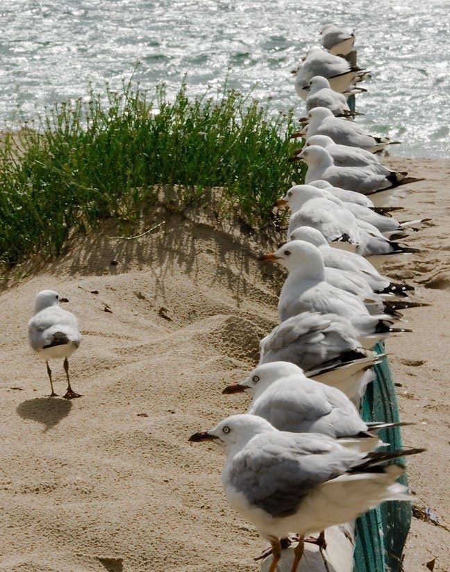 Nathalie Chalard bis tweet media