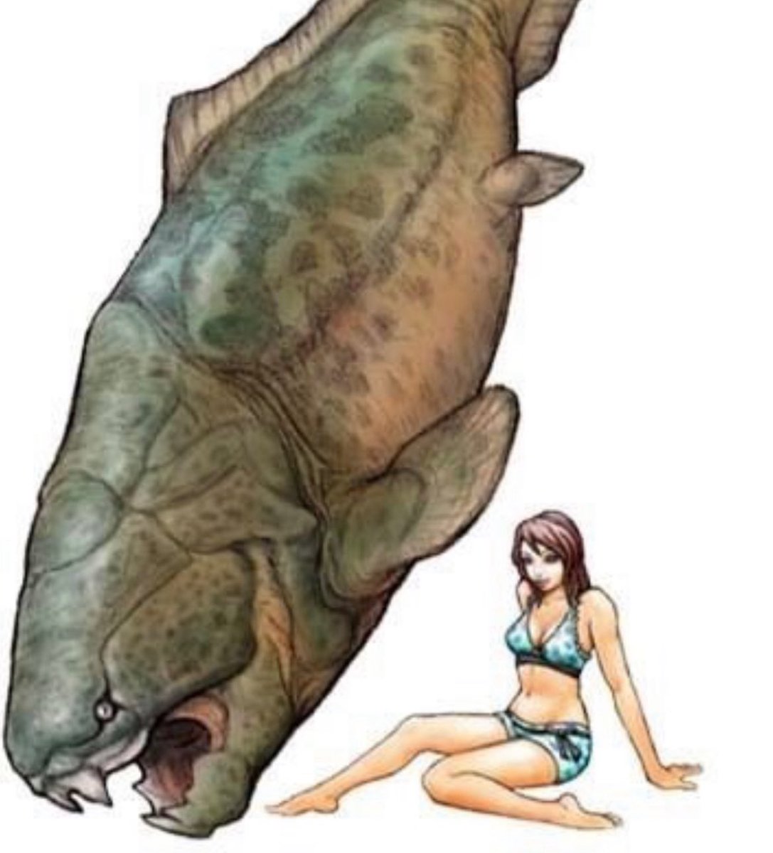 corina ♱ tweet media