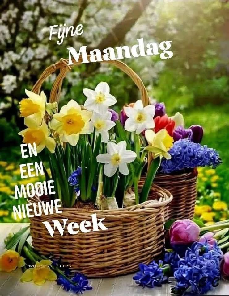 Vervloet Luc tweet media