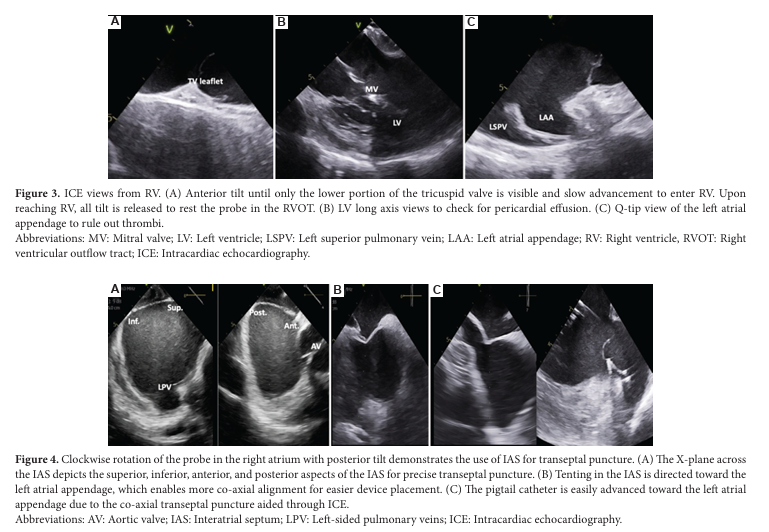 Brain & Heart - ASP tweet media