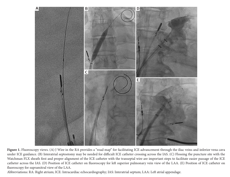 Brain & Heart - ASP tweet media
