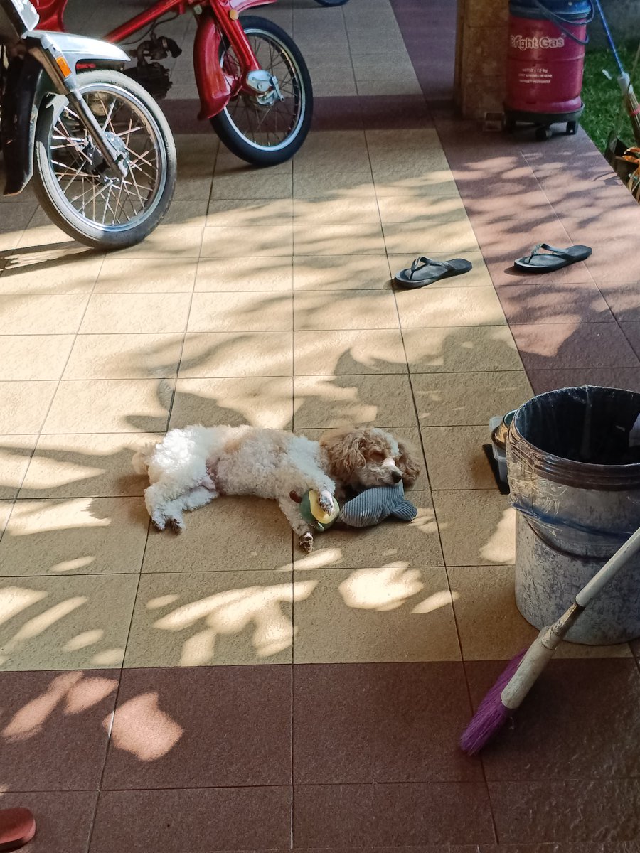 Alva Christo tweet media