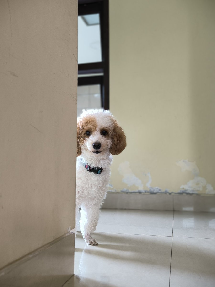 Alva Christo tweet media