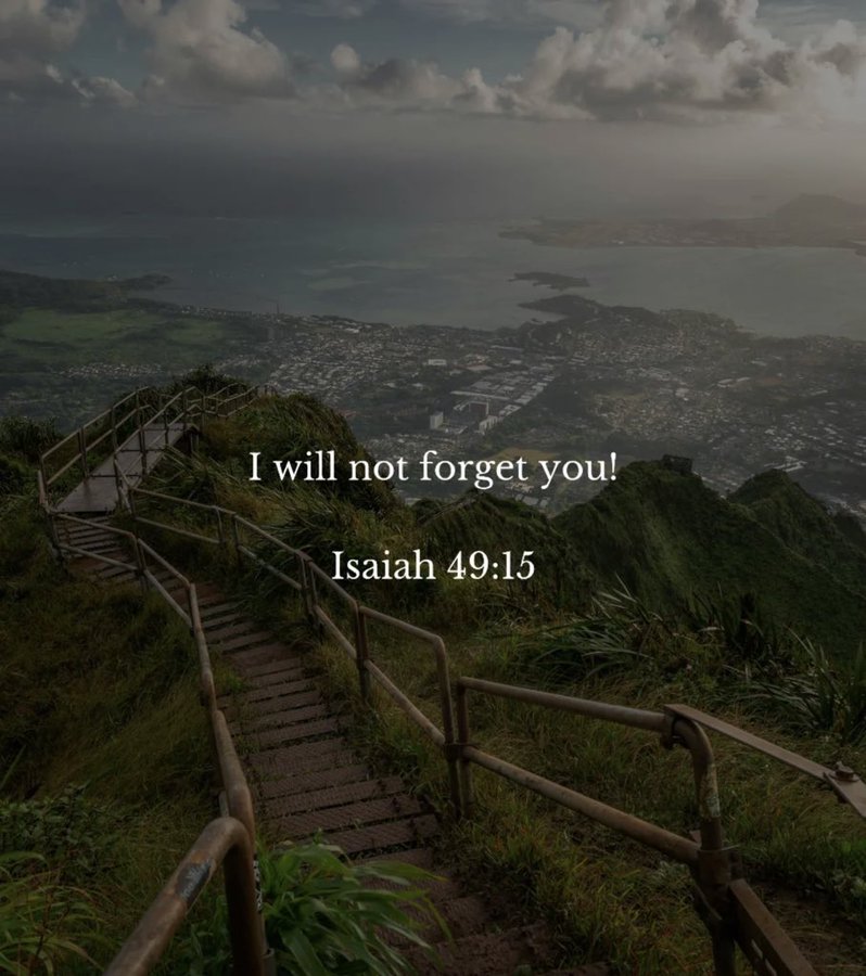 Bible 365 tweet media