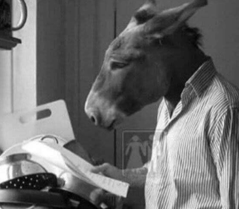 𝐄𝐌𝐄𝐙 tweet media