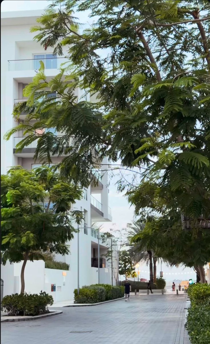 صوفي tweet media