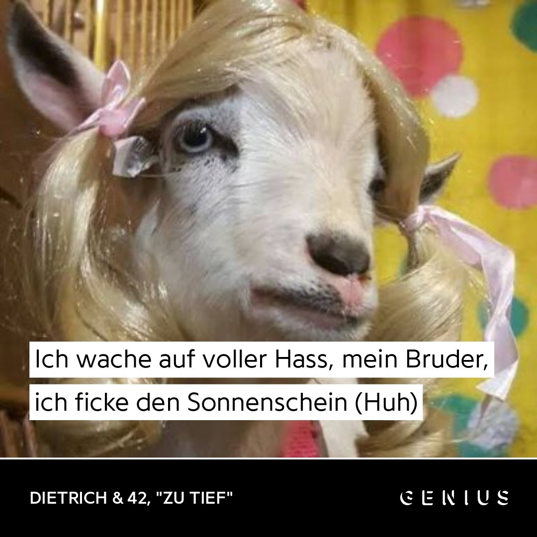 Utzi (funky) tweet media