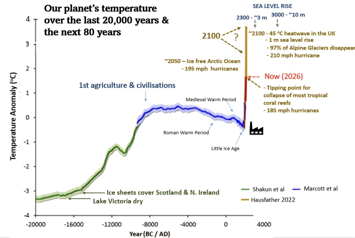 Patrick Hamilton tweet media