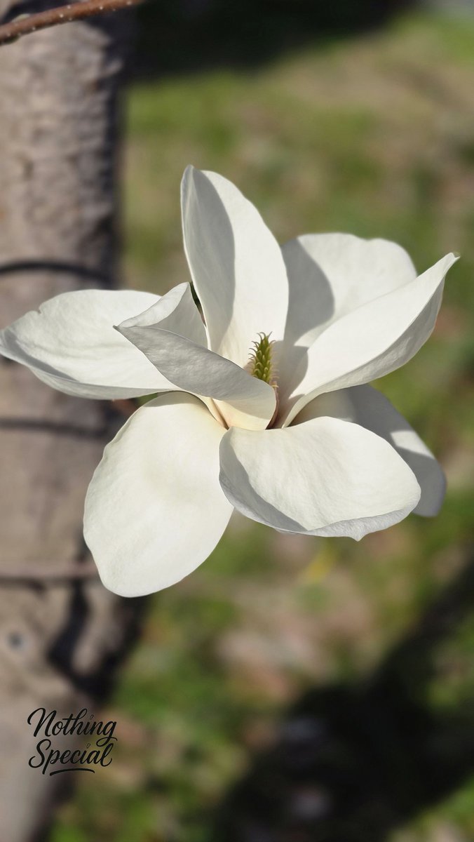 알랑가몰라🐾 tweet media