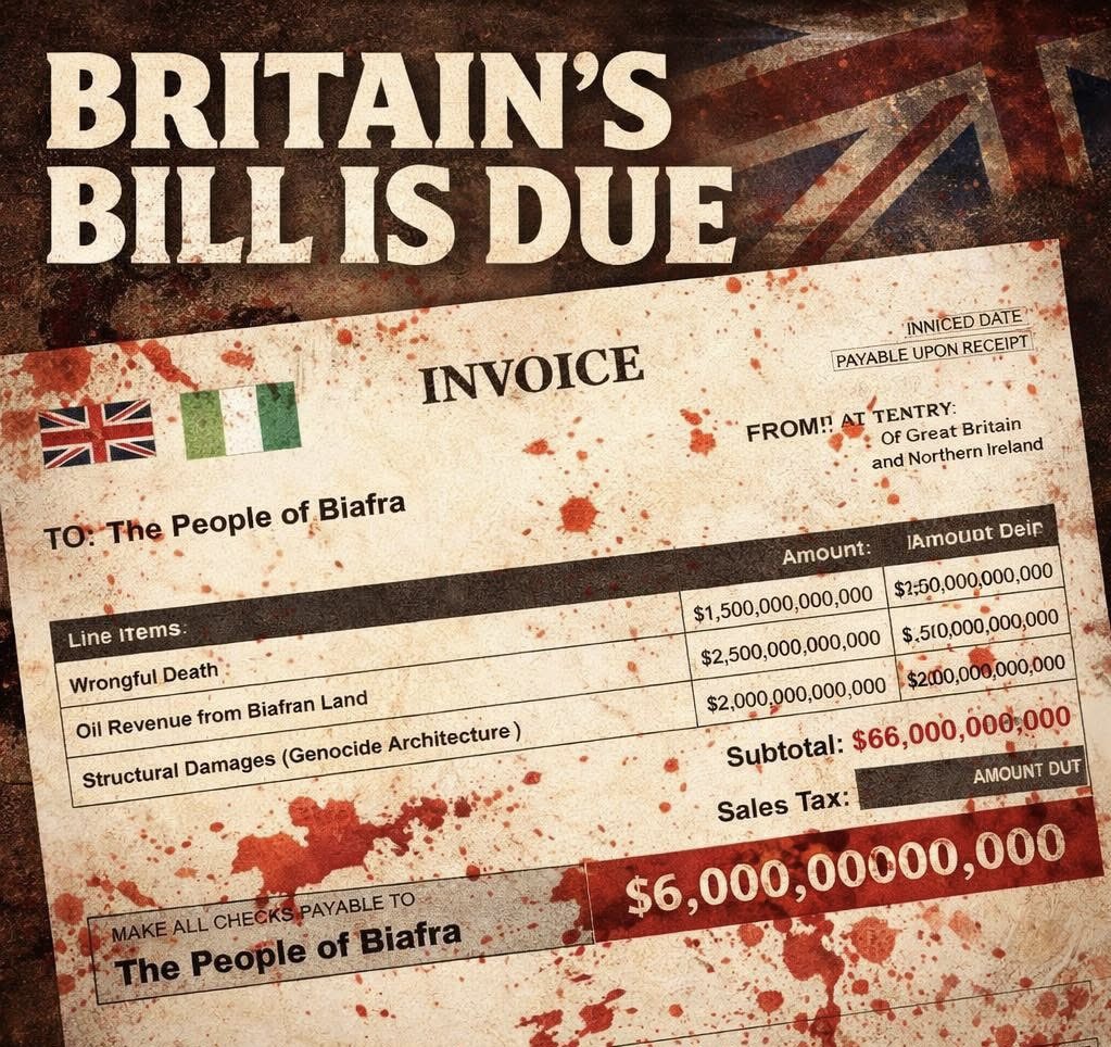 aloy ejimakor tweet media