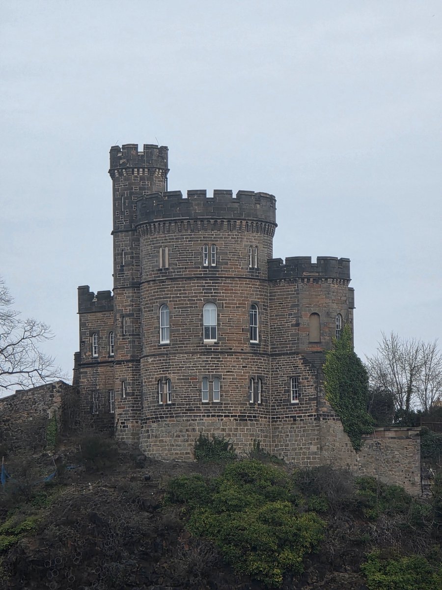 Mighty Mouse tweet media