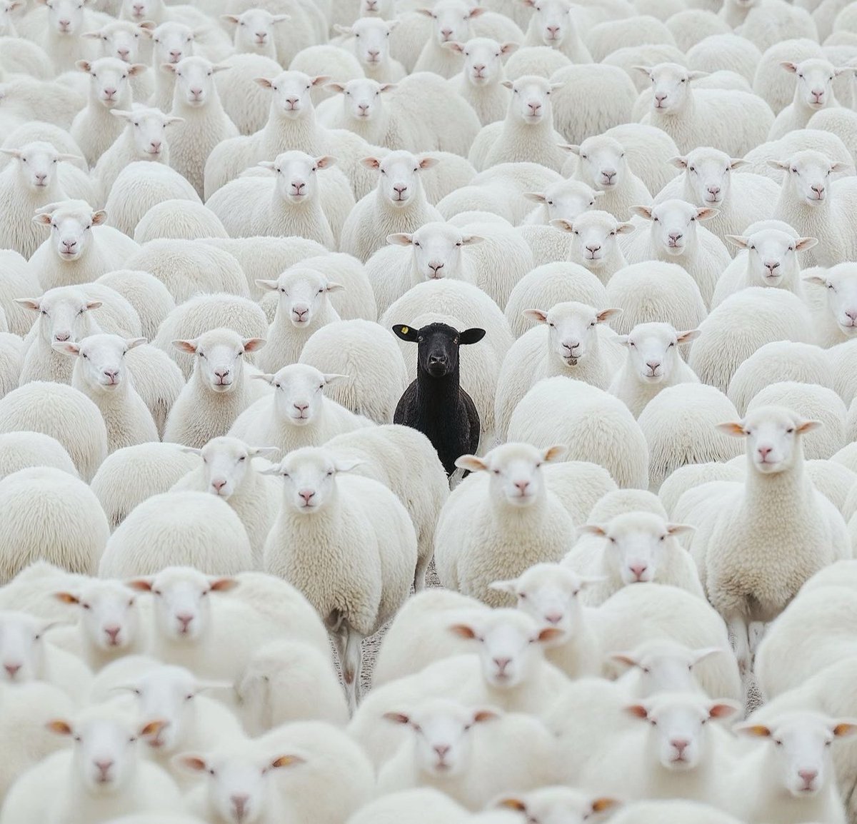 DANNY-OF-WEB3 🧸✨ tweet media