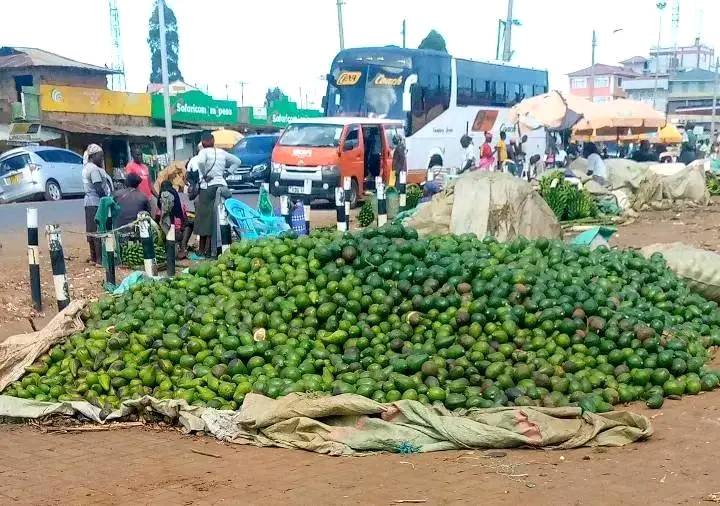 Monsieur the Marquis tweet media