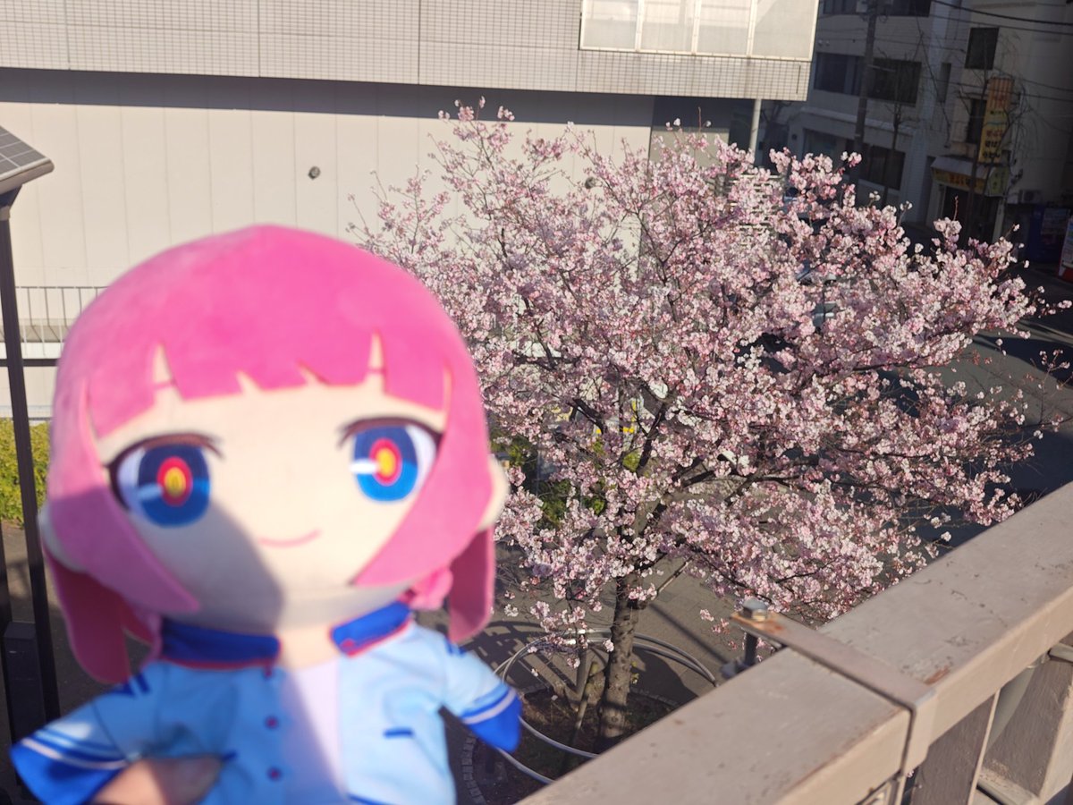 未確認_Sora tweet media