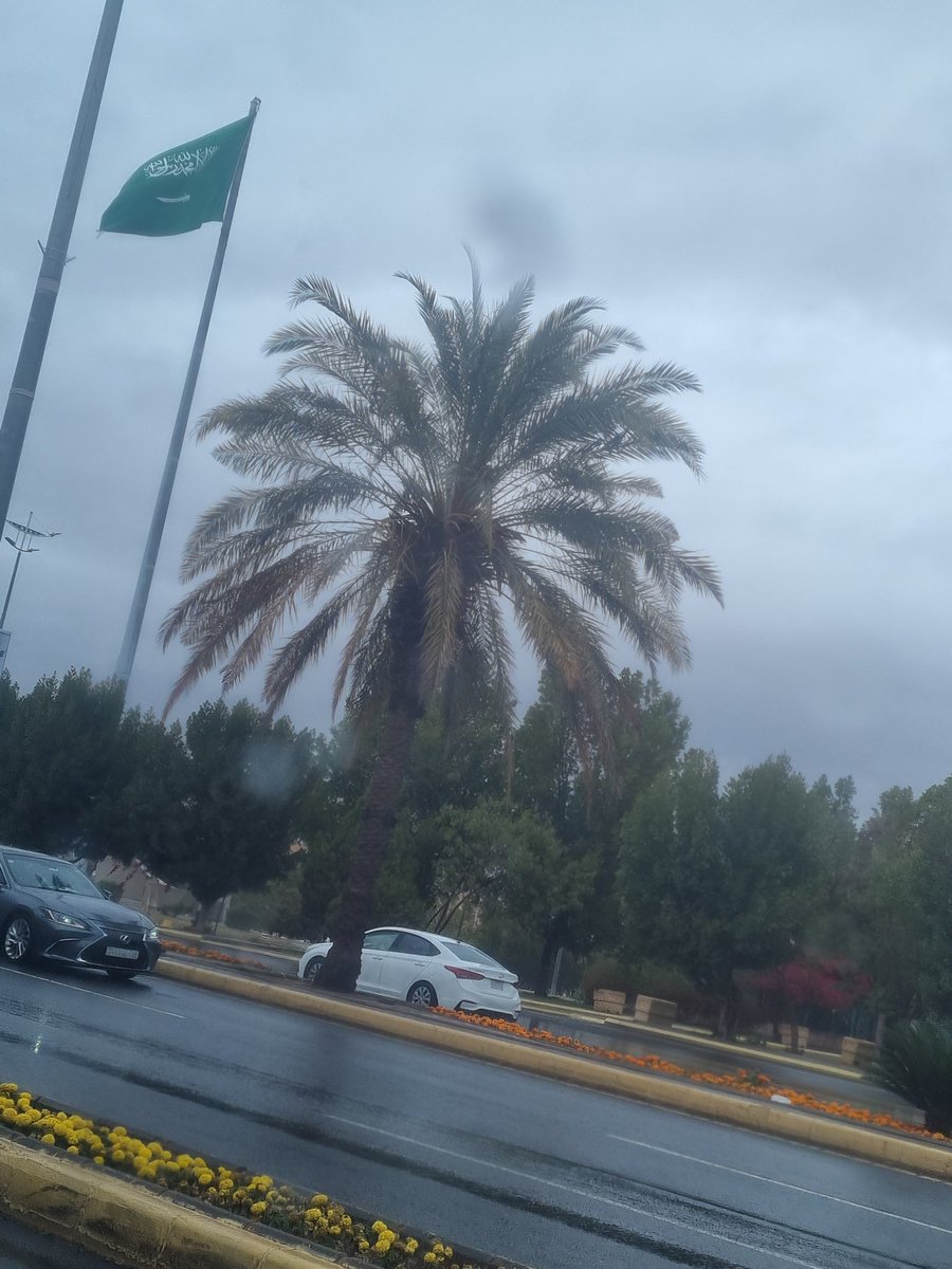 دوووم خفاااااقة يا رااية العــز 🇸🇦 #المملكة_العربية_السعودية