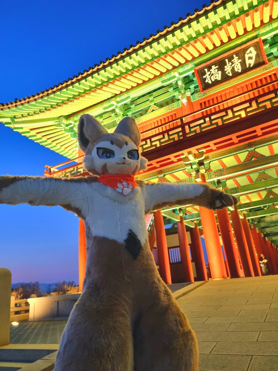 샌디SANDY✨️ tweet media