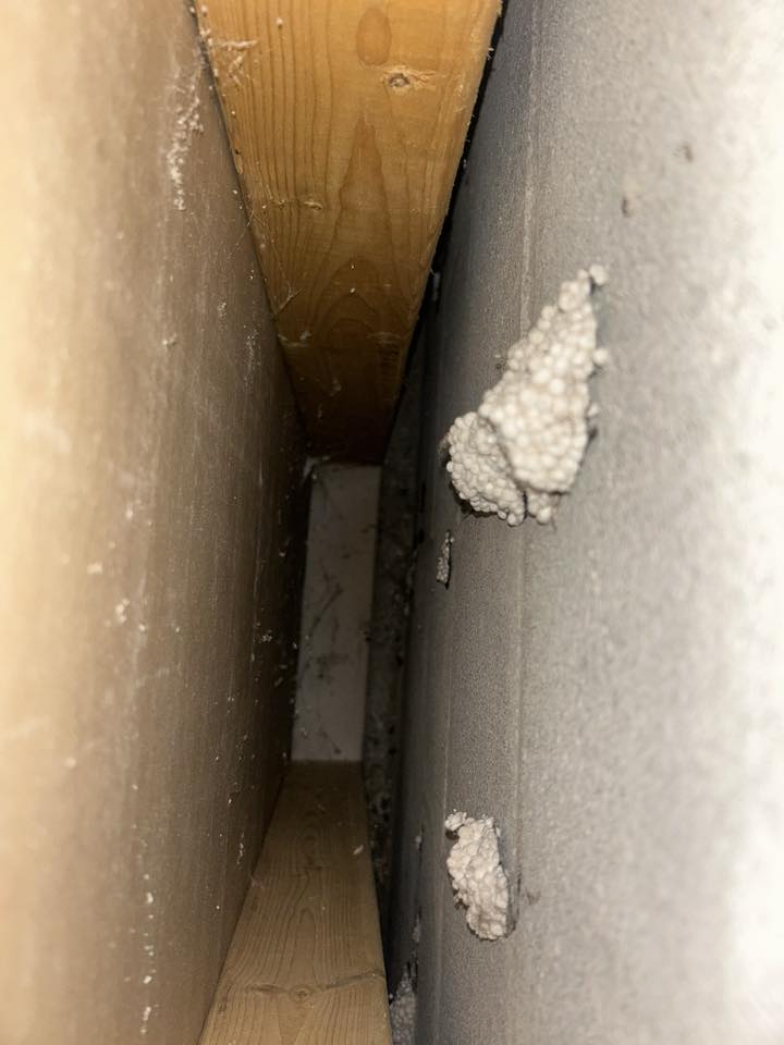 ⭐️NosArtisansOntDuTalent ⭐️ tweet media