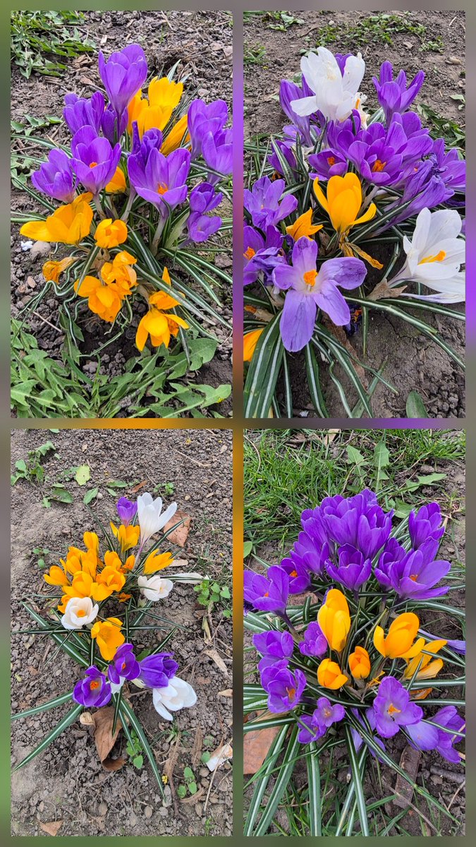 Ingrid 💃✨ tweet media