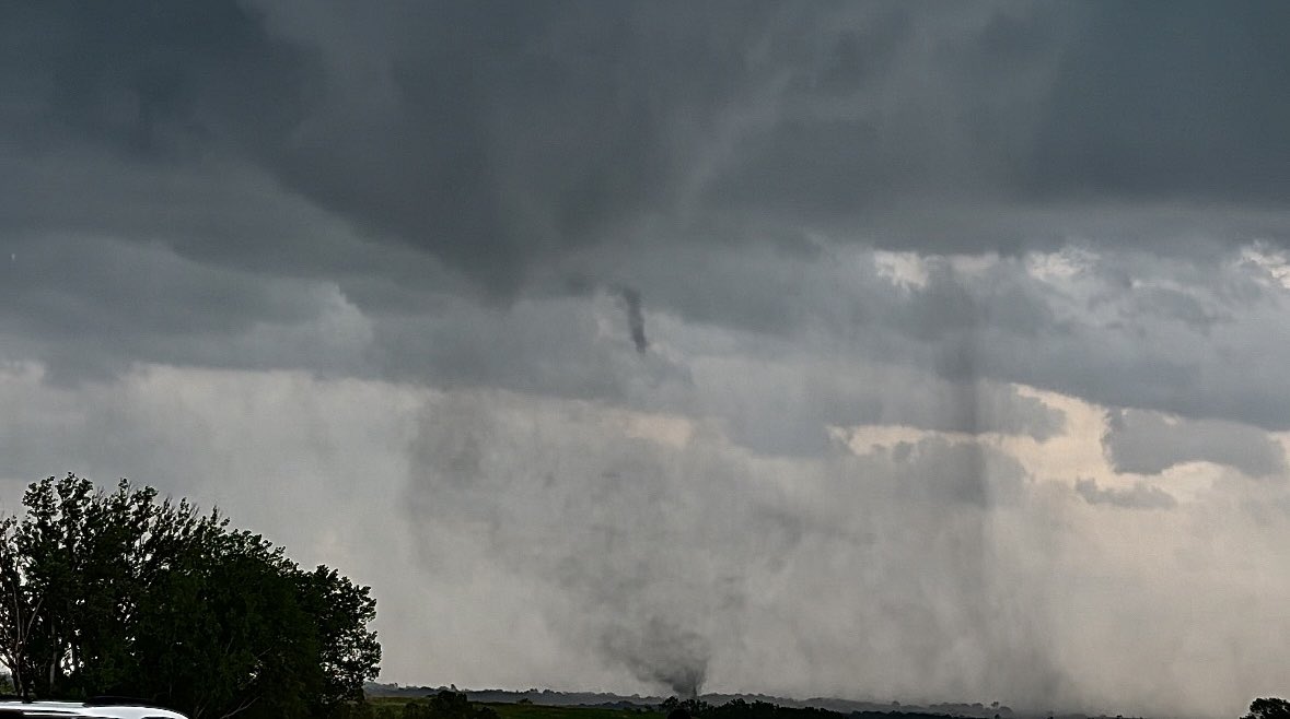 jacob punch tweet media