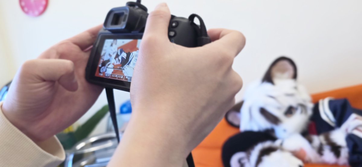 아기염소 tweet media