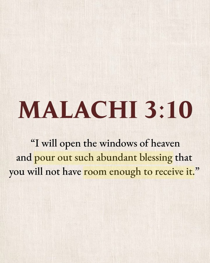 Bible 365 tweet media