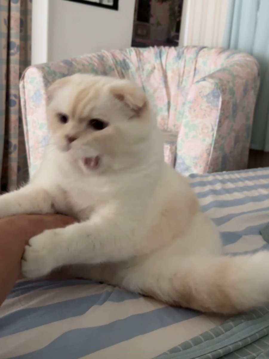 ♥︎~BOSQUE DEL AMOR~♥︎ tweet media