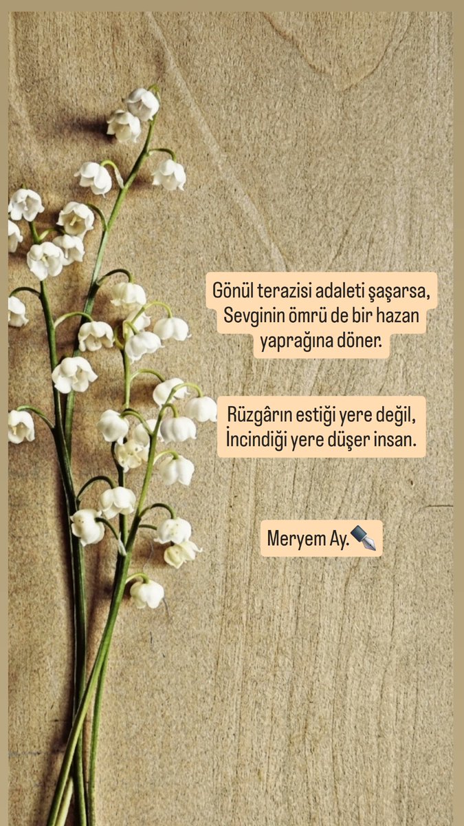 #şiir #şiirsevgisi #keşfet #keşfetedüş #aşk #vuslat #sevgi #huzur #hazan