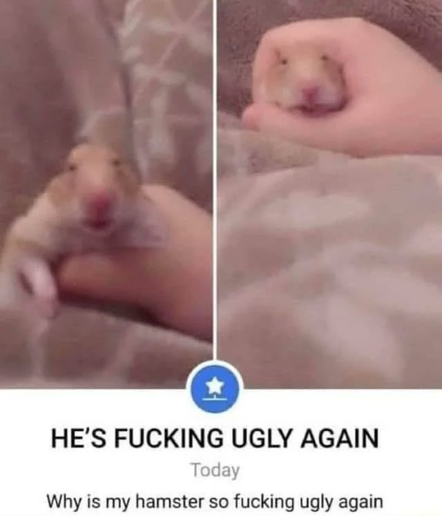 Vela ♡ tweet media