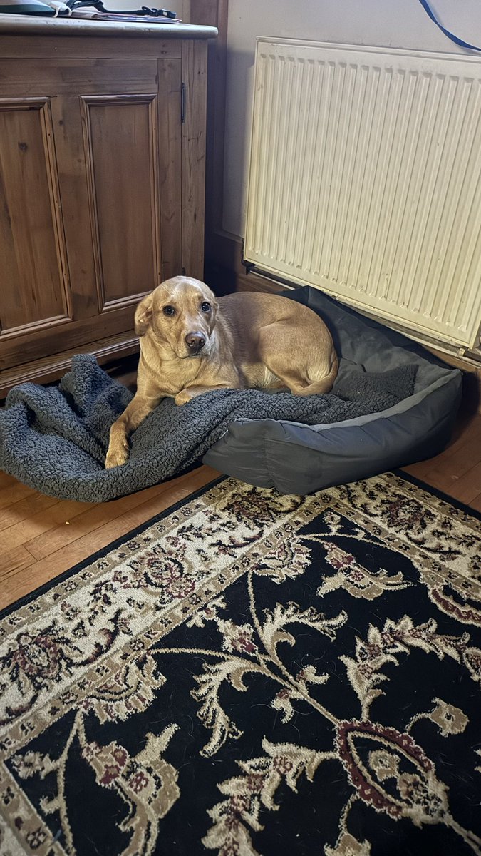 Mitch #OneDay tweet media