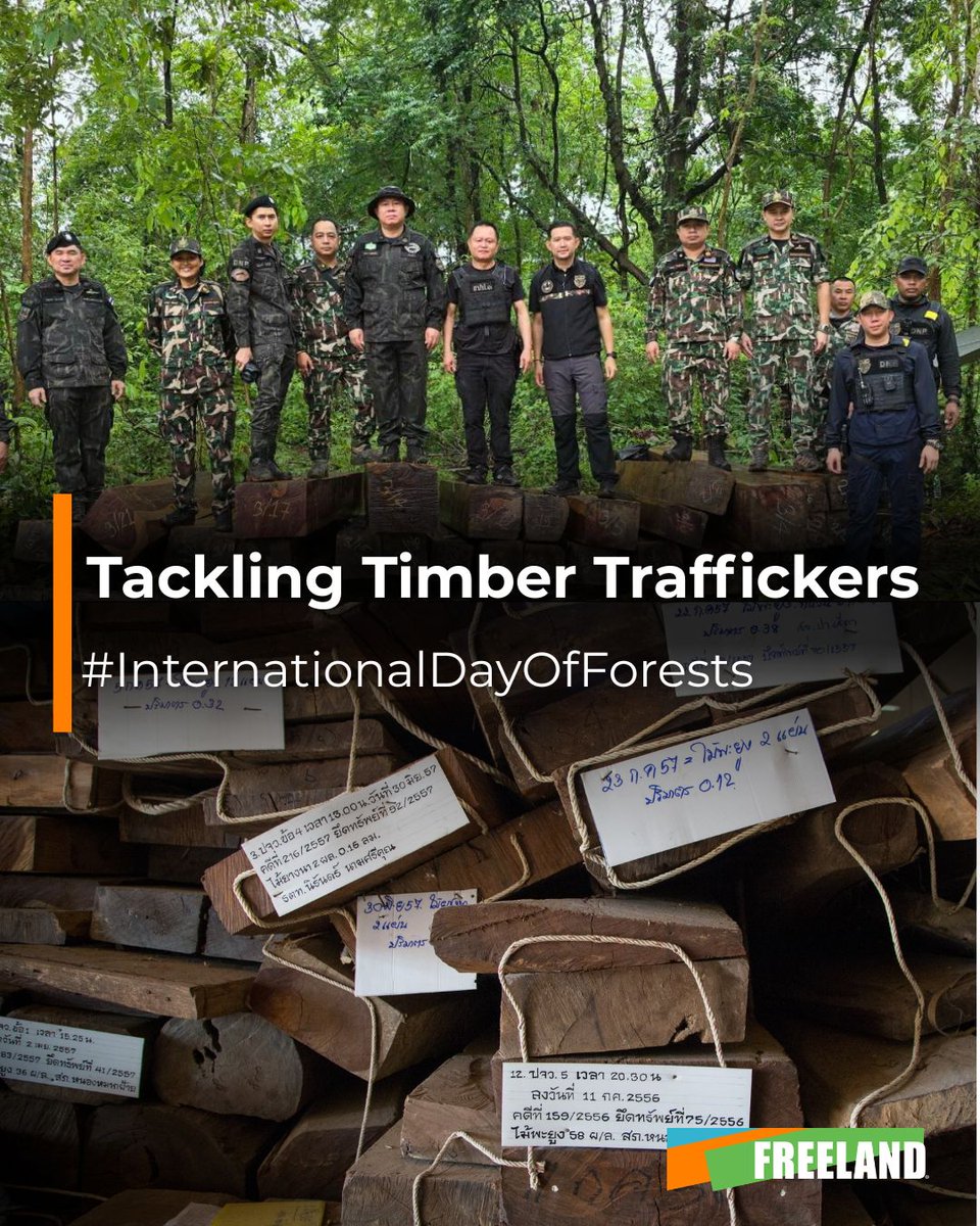 FREELAND tweet media